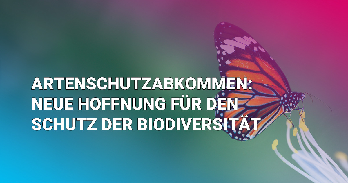 Biodiversität Schützen? Ein Hoffnungsschimmer