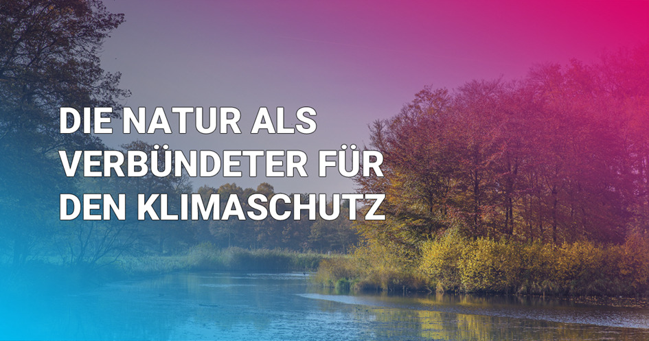 Lichtblick fürs Klima: Aktionsprogramm „Natürlicher Klimaschutz“