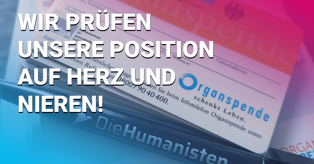 Wir prüfen unsere Position auf Herz und Nieren!