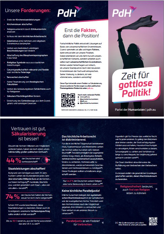 Partei Flyer Flyer